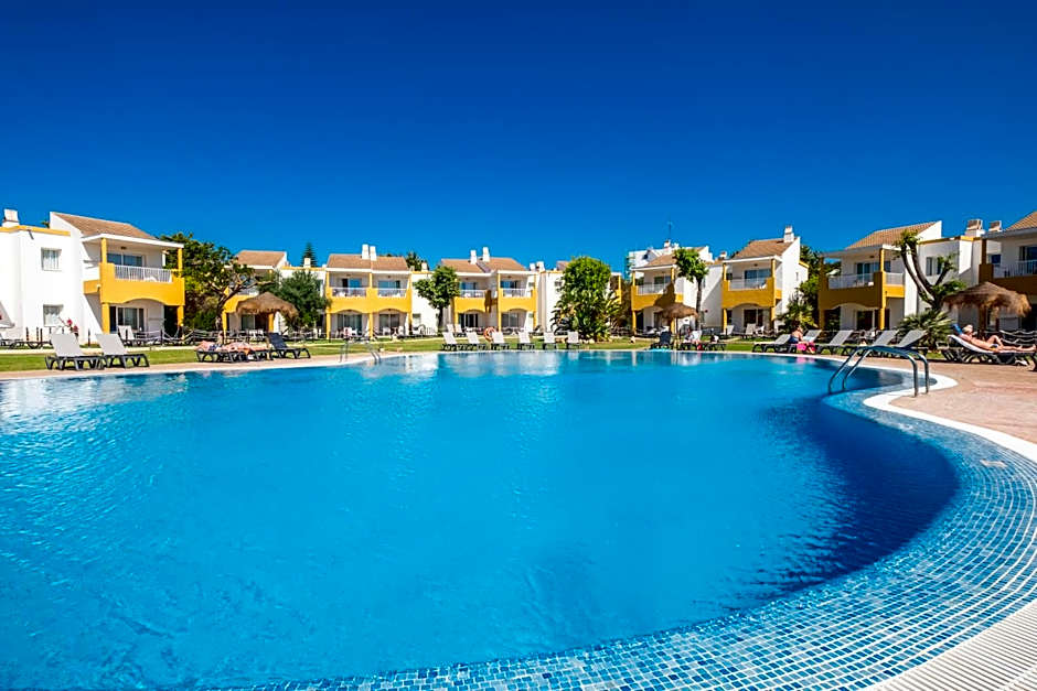 Comitas Isla del Aire