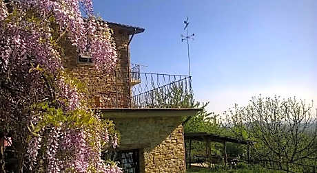 B&B La Civetta