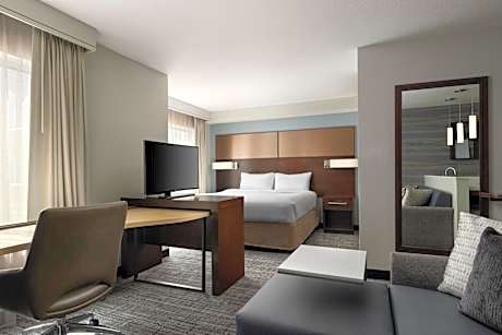 Newly Renovated King Studio Room with Sofa Bed - Hearing Accessible