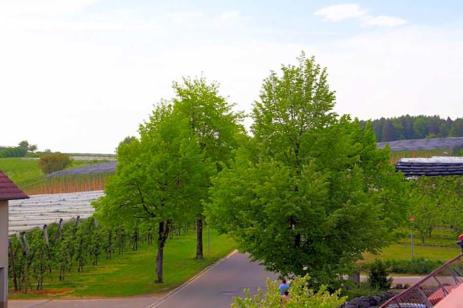 Waldvogel Ferienzimmer klimatisiert