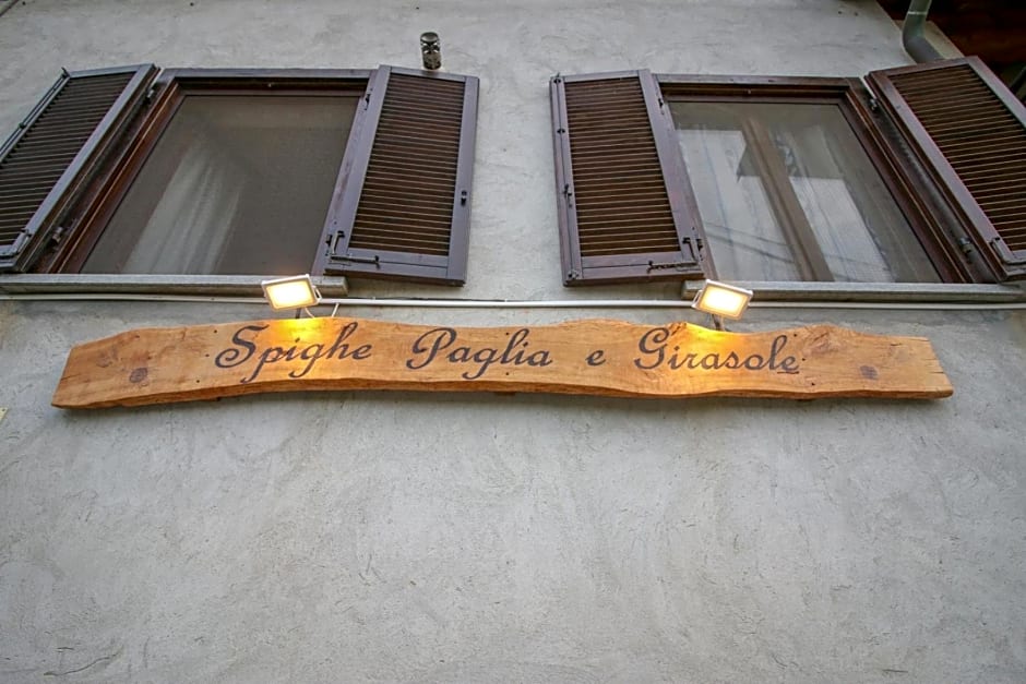 Spighe Paglia e Girasole