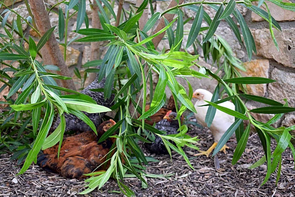 Village Valle D'Oro ApartHotel