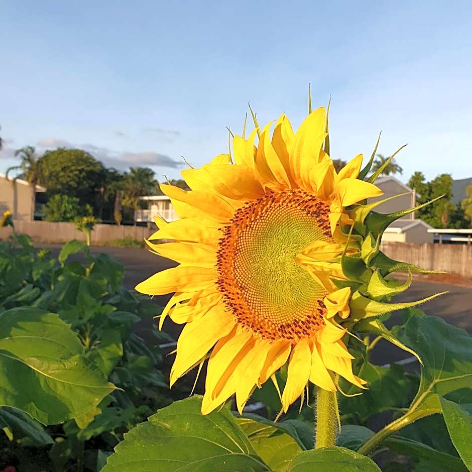 Palm Royale Cairns Resort
