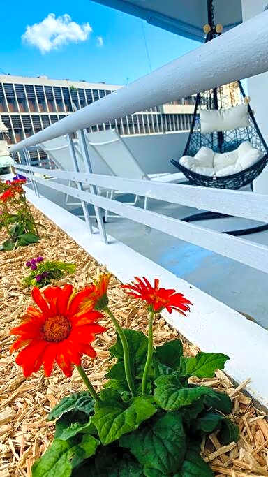 Urban Zen Appart Spacieux studio atypique avec bain a remous proche de tout