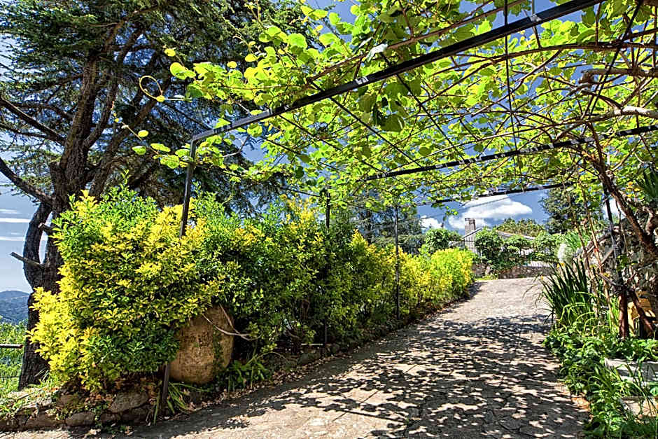 Oasi Verde