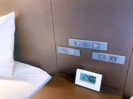 Twin Room with Sky Tree View