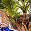 Laguna Beach Hotel & Spa
