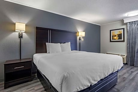 Efficiendy King Room - Non Smoking