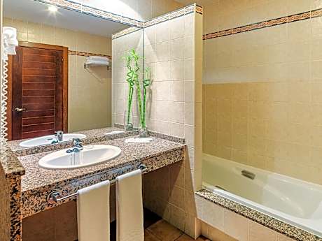 Deluxe Double Room Single Use (1 King Bed)