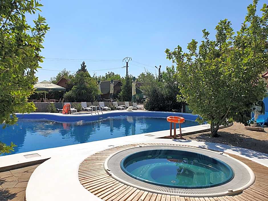 Lotca Fermecată - Lotka Fermecată