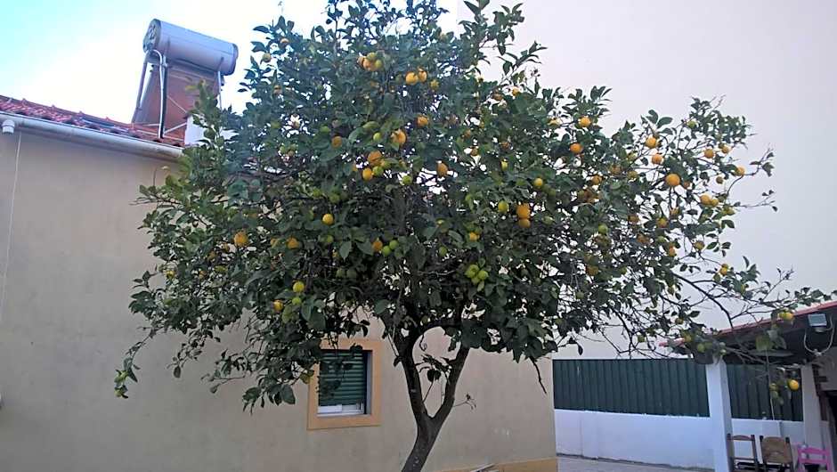 Casa do Limoeiro
