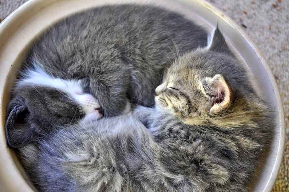 16 Havelock Bed and Breakfast