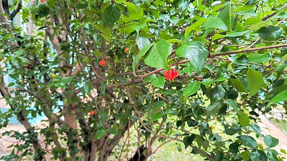 Pousada Recanto do Sossego