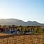 Hacienda Los Olivos, Valle de Guadalupe