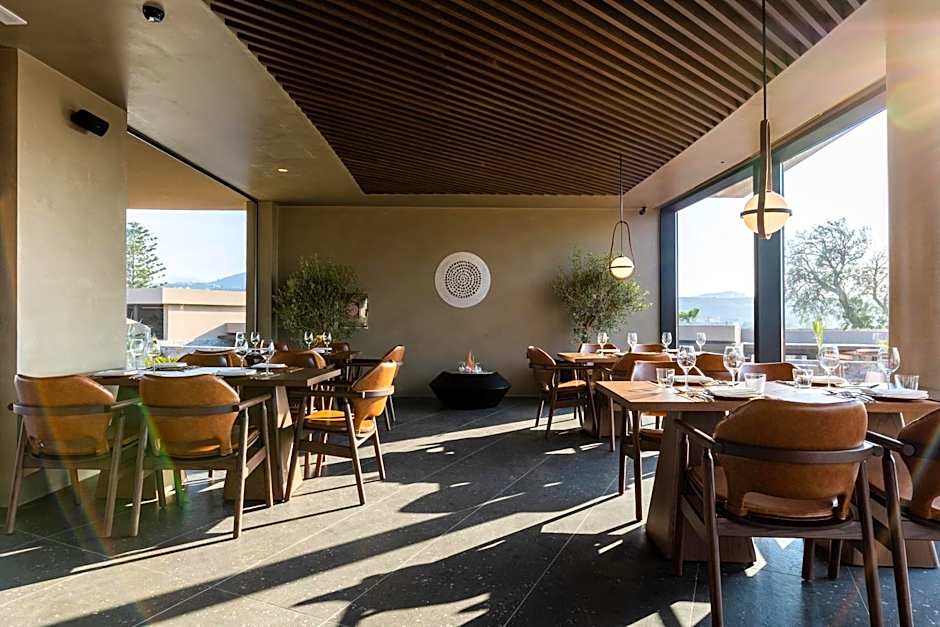 Pnoe Breathing Life - Adults Only