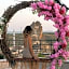 Acer Cave Hotel