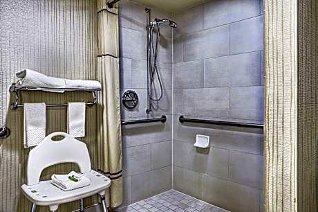 2 King Mobility Accessible W/Roll In Shower