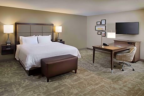 1 KING MOBILITY ACCESS 3X3 SHWR SUITE NOSMOK MICROWV/FRIDGE/WET BAR/HDTV/WORK AREA FREE WI-FI/HOT BREAKFAST INCLUDED