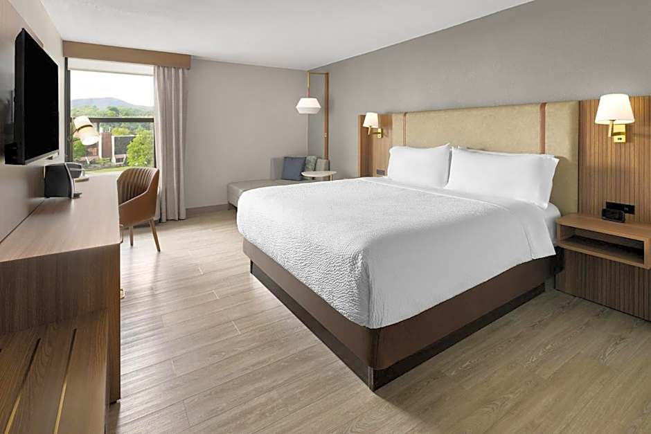 Holiday Inn Roanoke - Tanglewood Route 419 & I 581 By IHG