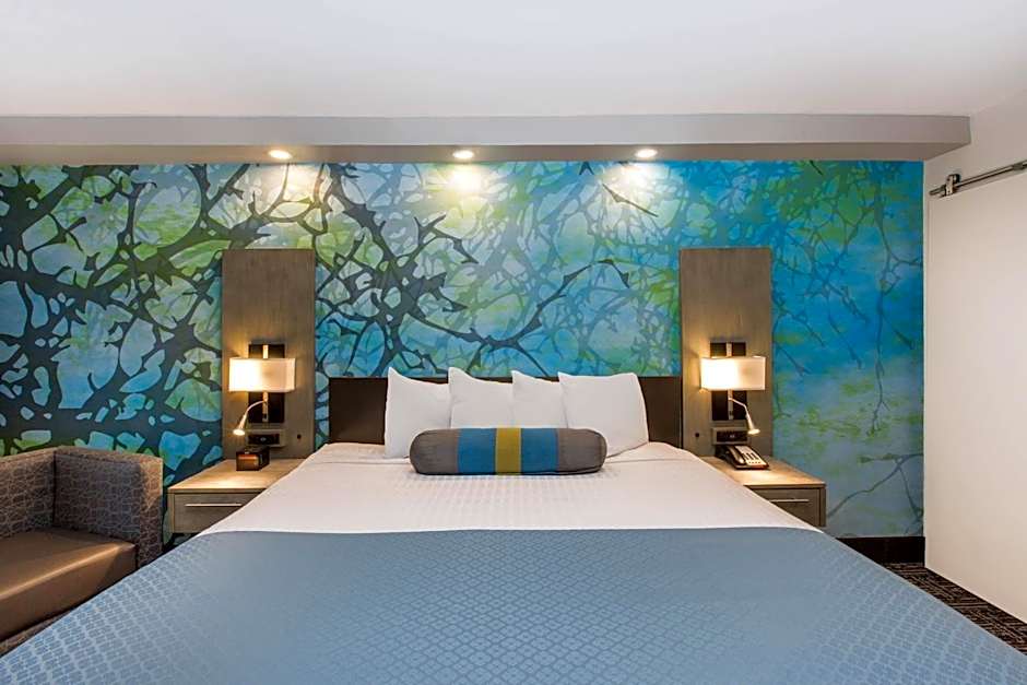 Photo 1 of 5 of 1 King Bed, Mobility Accessible