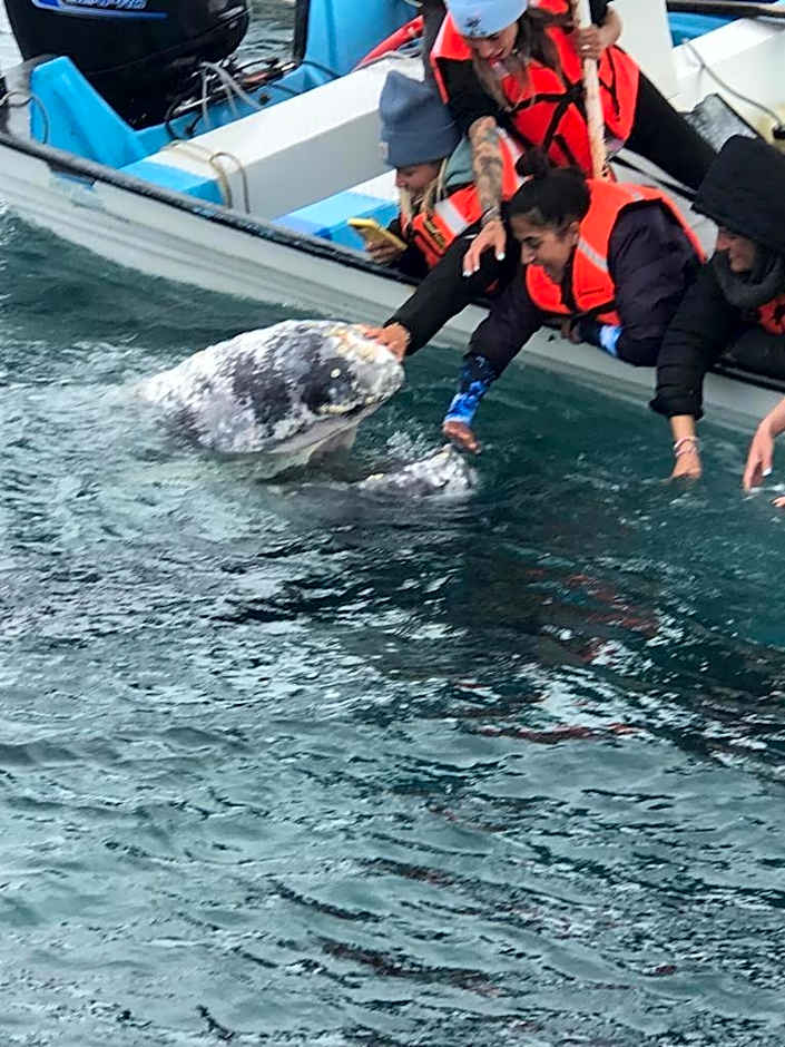 Hotel- Whale Tours and Sport fishing Vista Mag-Bay