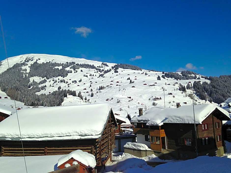 Familienhotel Alpina