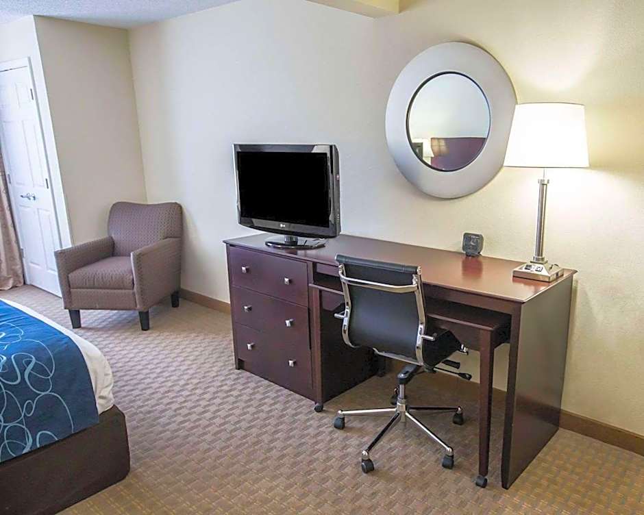 Comfort Suites University Area