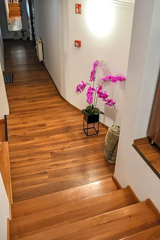 É-Vaskó Panzió Borpince