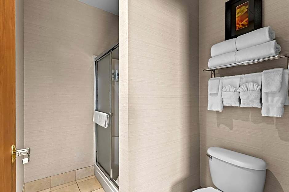 Comfort Suites Denver Tech Center/Englewood