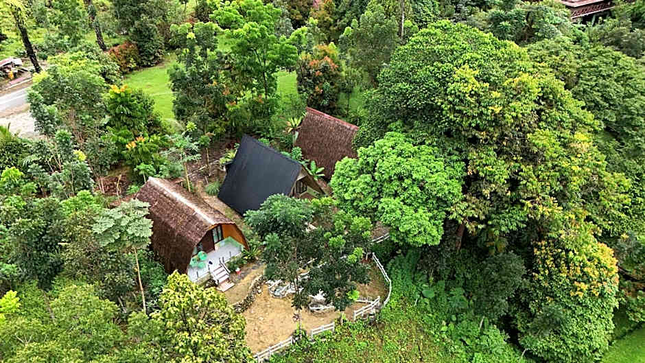 Green Forest Tangkahan