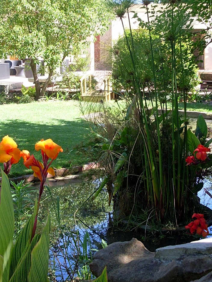 B&B Sauvignon Country Lodge