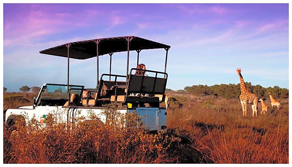 Thali Thali Game Lodge