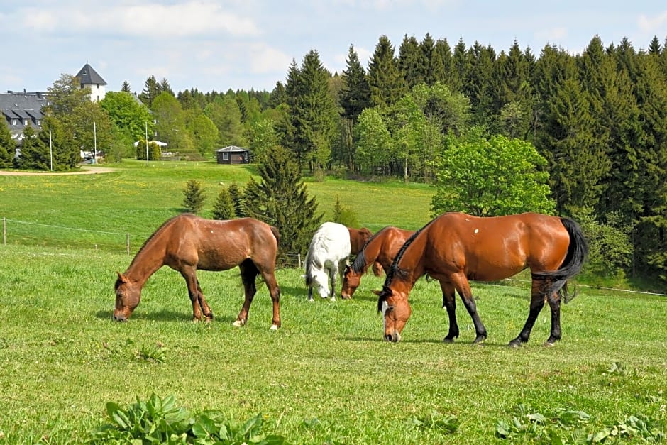 Landhotel Altes Zollhaus