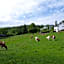 Landhotel Henkenhof Willingen