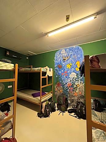 Bed in 6-Bed Mixed Dormitory Room