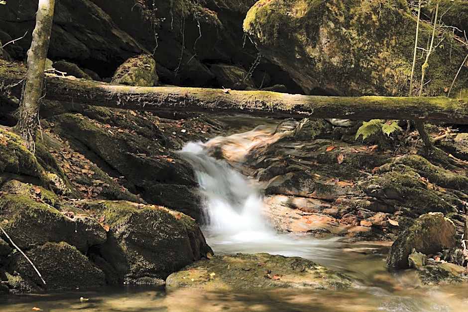 Angelats Hotel - A Signature Boutique Hotel & Restaurant