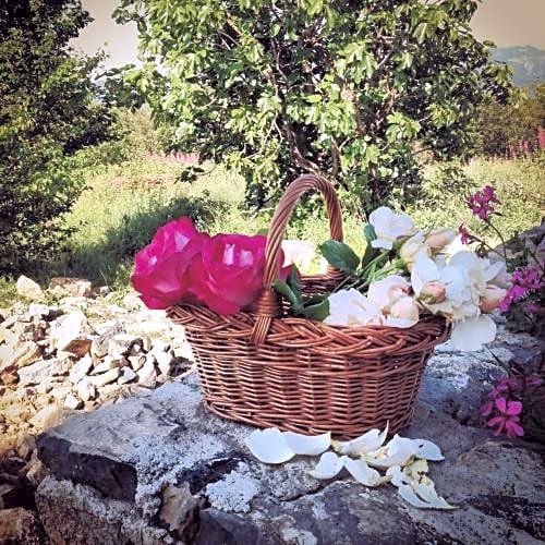 B&B Oca Nera Lerici