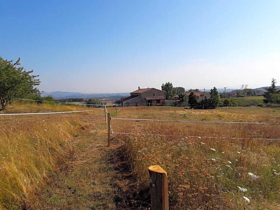 Ferme de la Combe - The Goldy's Farm