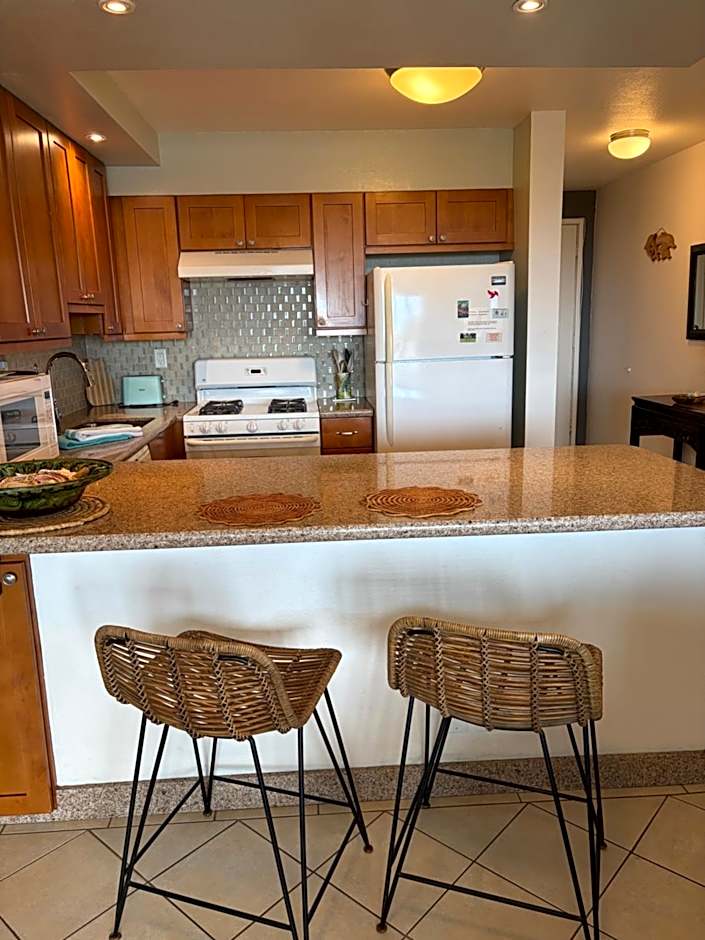South Maui Ocean View Condo with Free Wifi and Parking