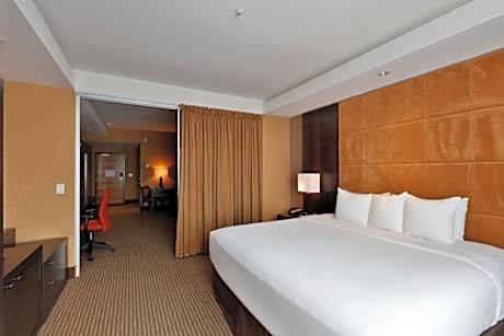 One-Bedroom King Suite