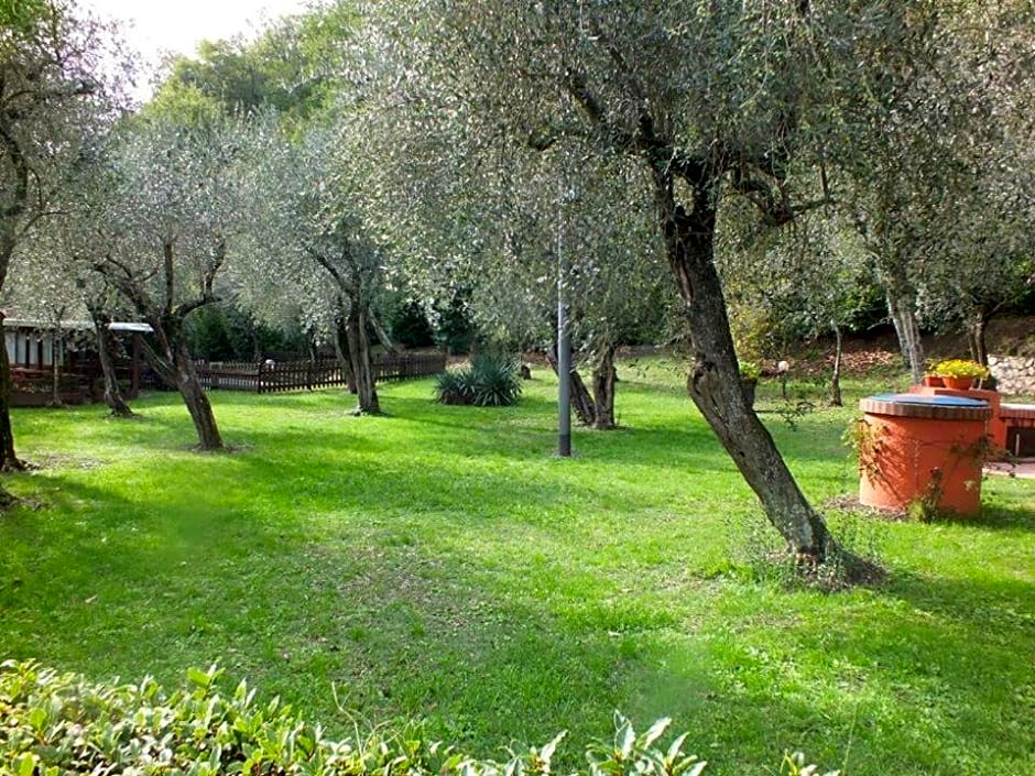 Gli Ulivi Bed & breakfast