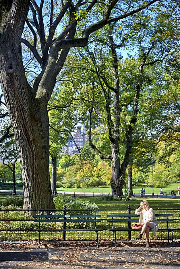 The Gardens Sonesta ES Suites New York