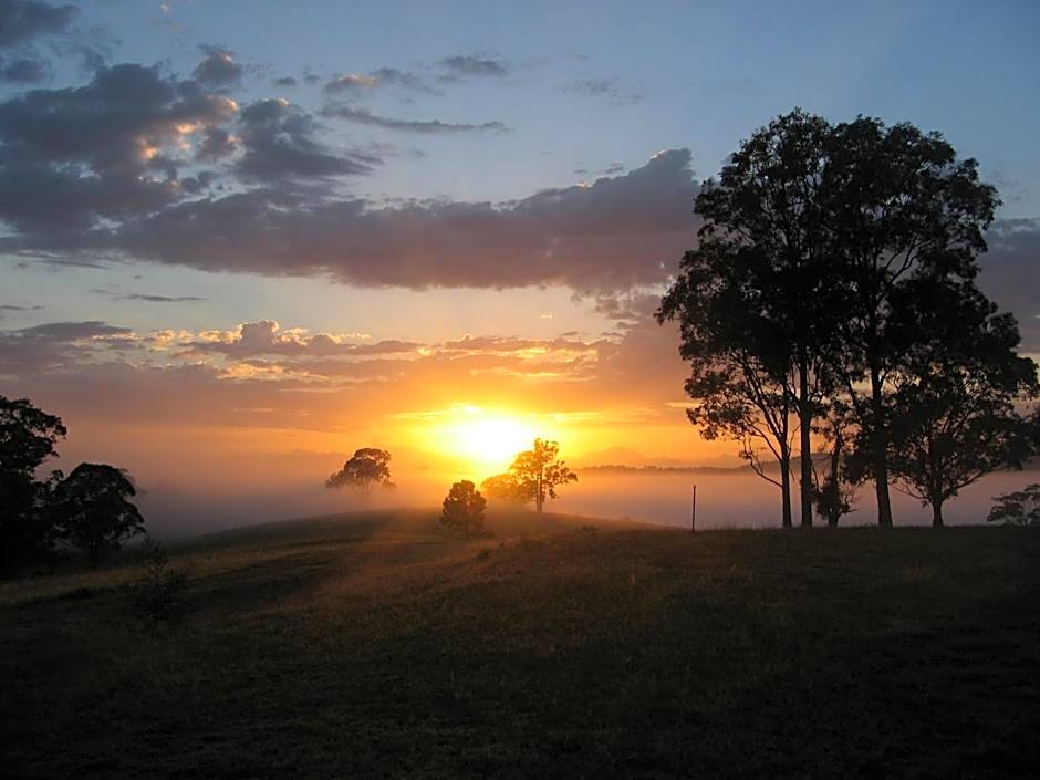 BellbirdHill Bed & Breakfast