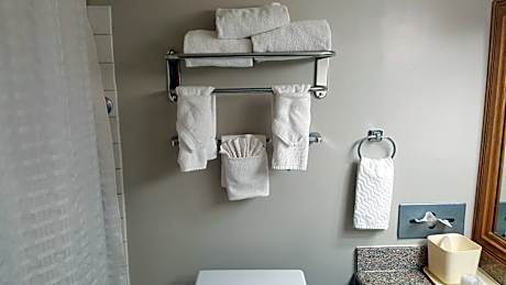 1 King Bed Non-Smoking Fireplace Microwave And Refrigerator Wi-Fi Full Breakfast