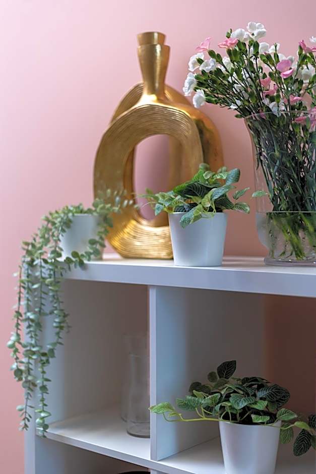 Hostel Krasnal Market Square Wroclaw