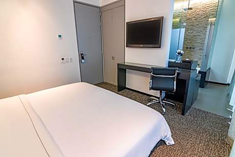Standard Double Room (King size bed)