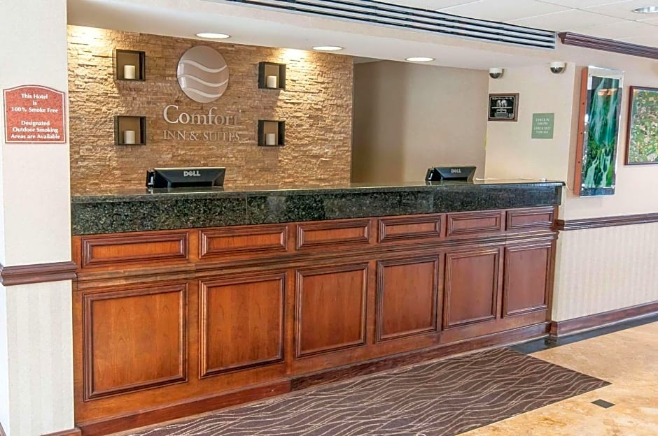 Comfort Inn & Suites Mount Pocono