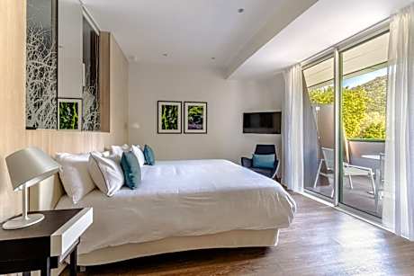 Superior Double Room with Mountain View