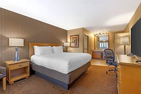 King Room with Shower Only - Non-Smoking