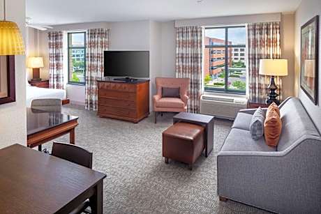 1 King Bed Studio Suite Nonsmoking